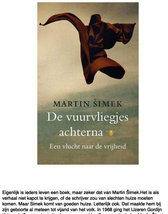 De vuurvliegjes achterna