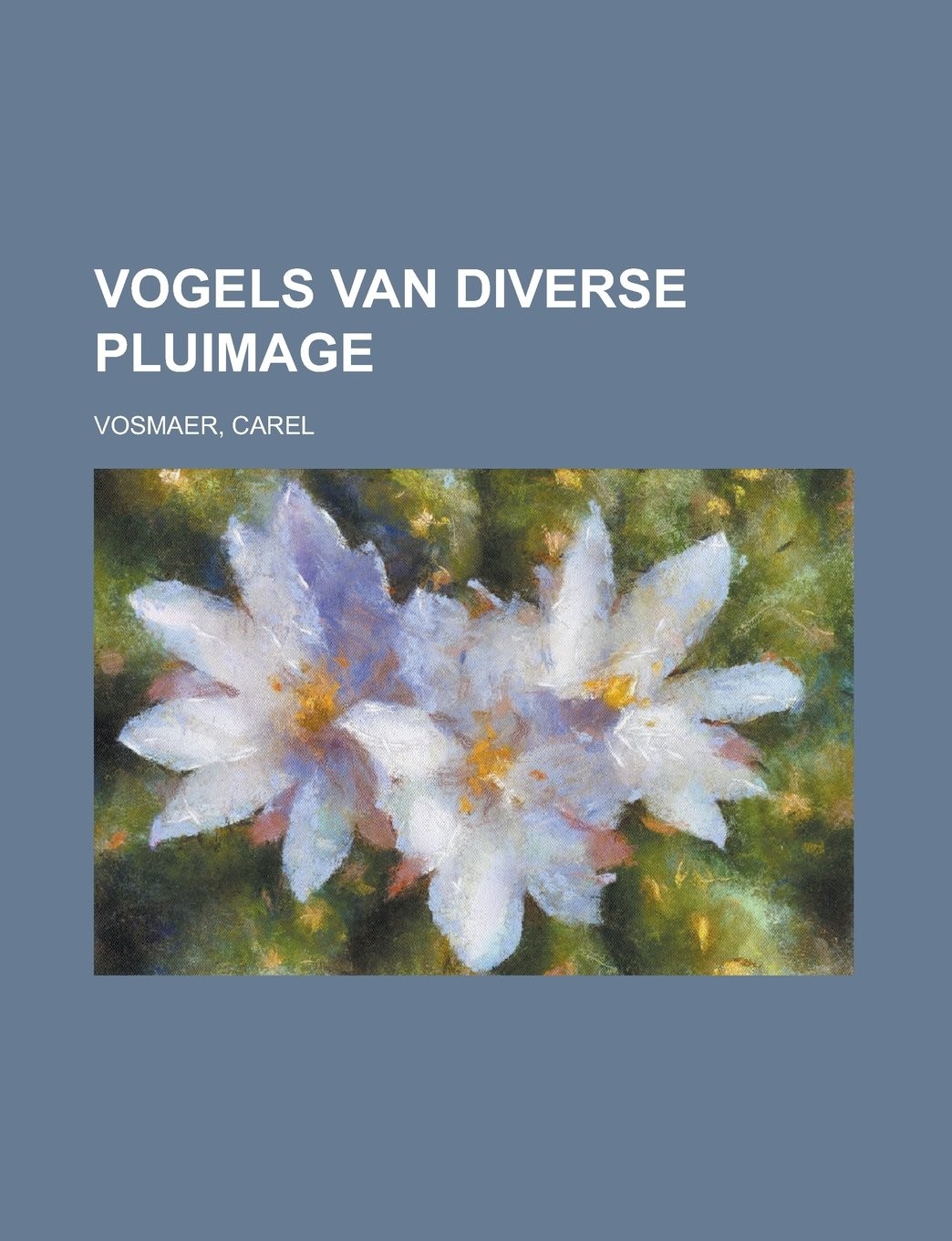 Vogels van diverse pluimage