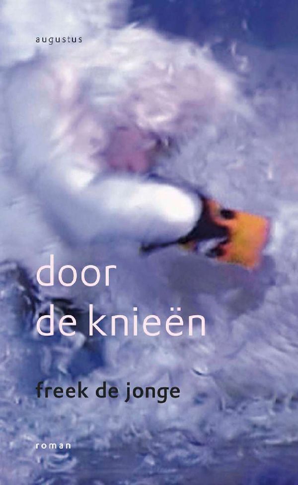 Door de knieën