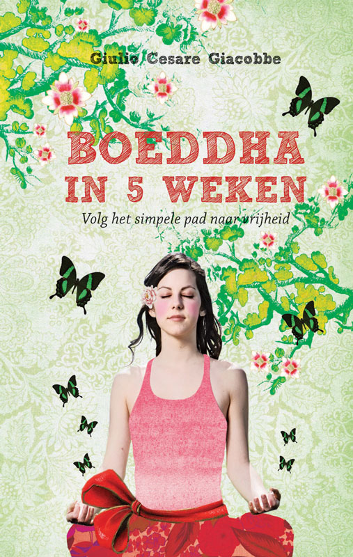 Boeddha in 5 weken