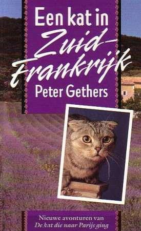 Een kat in Zuid-Frankrijk