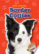 Border Collies