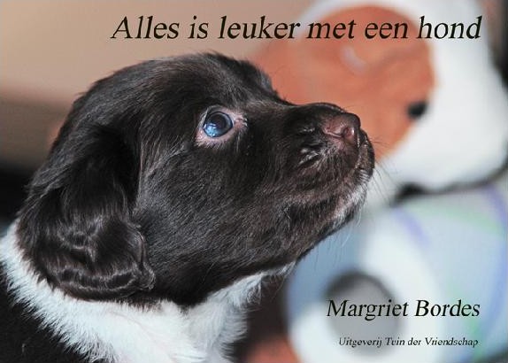 Alles is leuker met een hond