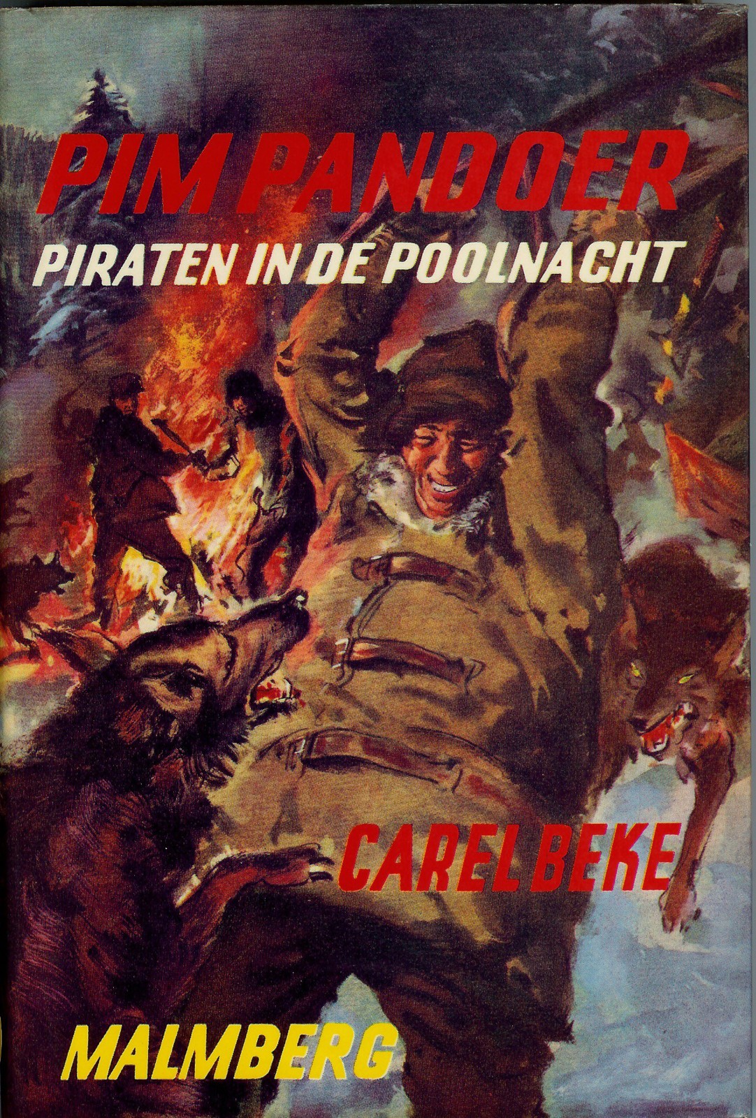Pim Pandoer - 11 - Piraten in de poolnach