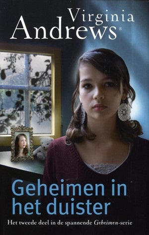 Geheimen Serie 2 - Geheimen in het duister